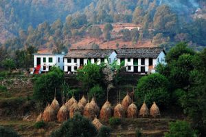 Binsar, Uttarakhand